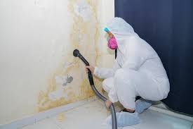 Trusted Yamhill, OR Mold Inspection Experts